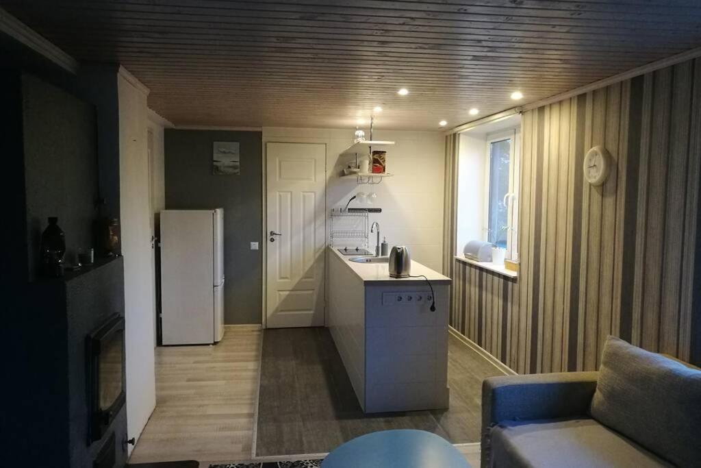 Quiet Place With Garden Studio Apartment Tallinn Ngoại thất bức ảnh